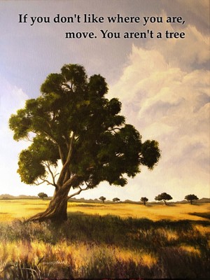 f7cd7ca7889992da13c3041fda770ef3