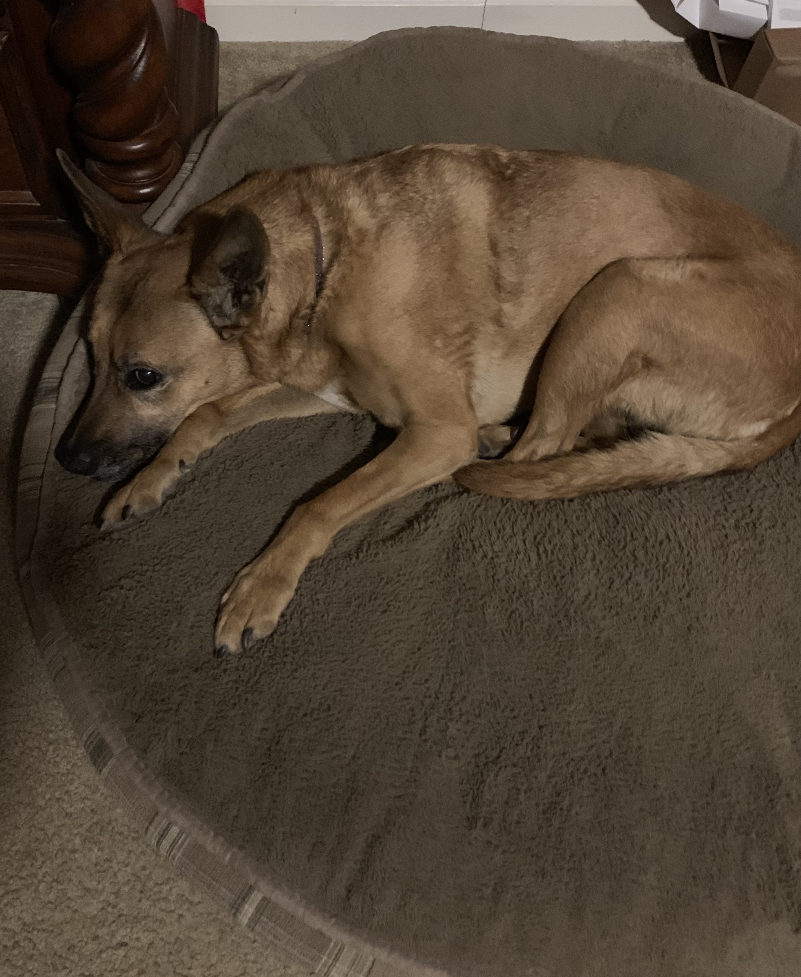 0C1A3F53-1198-45EE-8586-EB1BB47A23CC