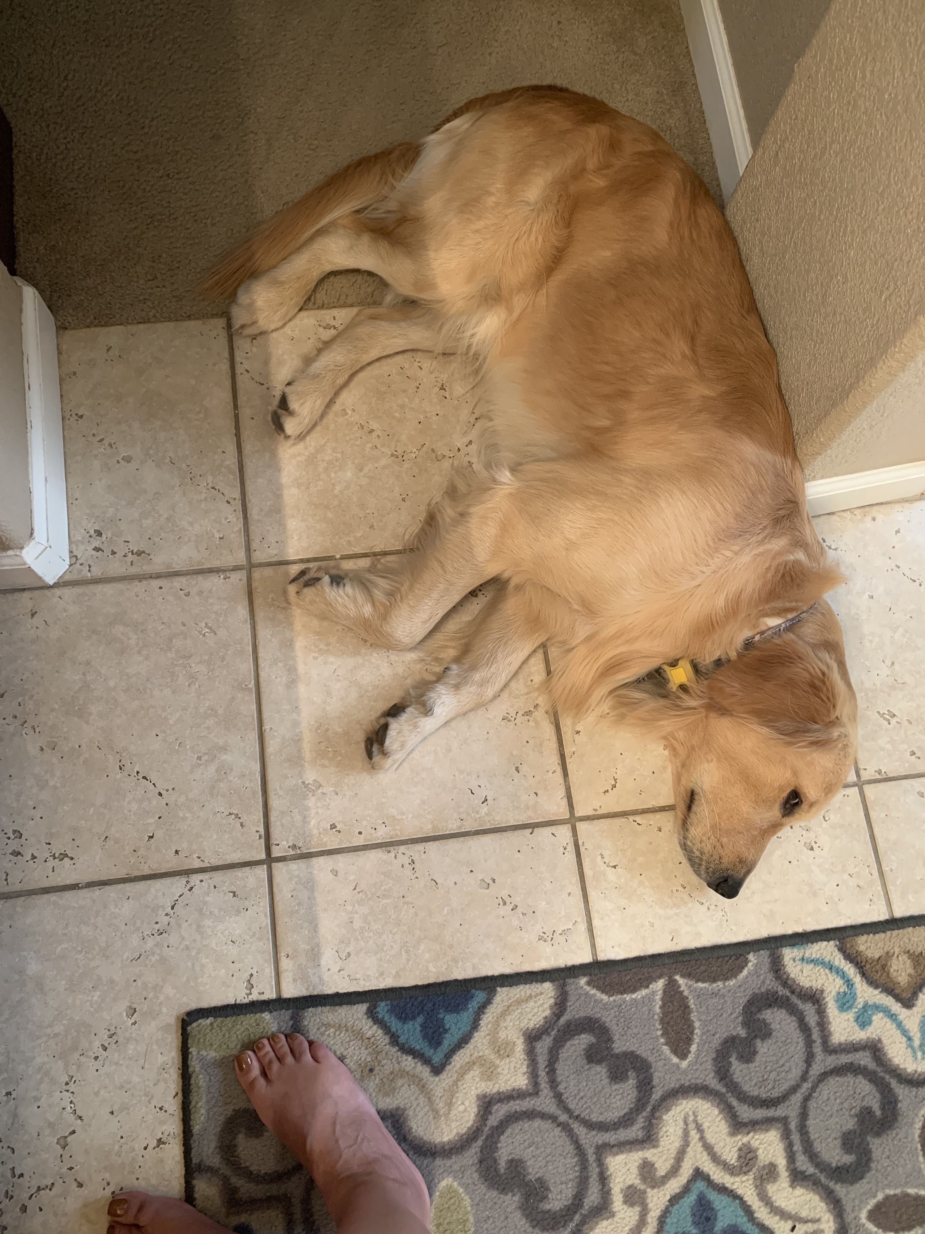 60817E47-0BCC-4CB9-9C71-DA1E85F7D7D3